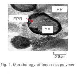 Morphology of impact copolymer