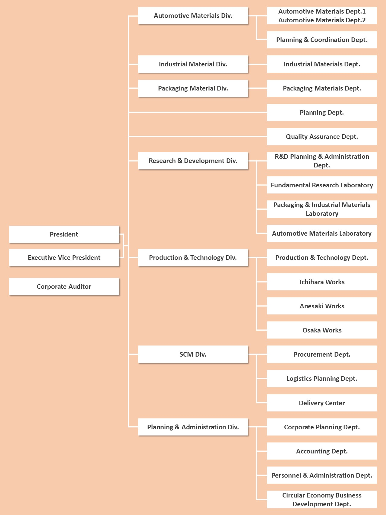 Company Organization